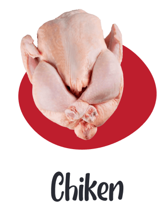 تصویر جوجه مرغ کامل برای استفاده در بخش محصولات مرغ